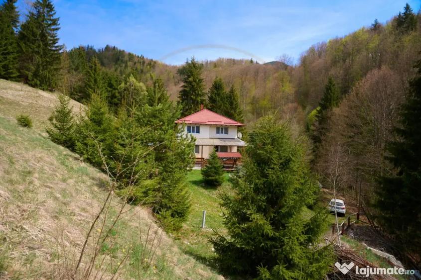 Casă cu 5 camere cu Teren 6412 Mp în Dâmbovicioara