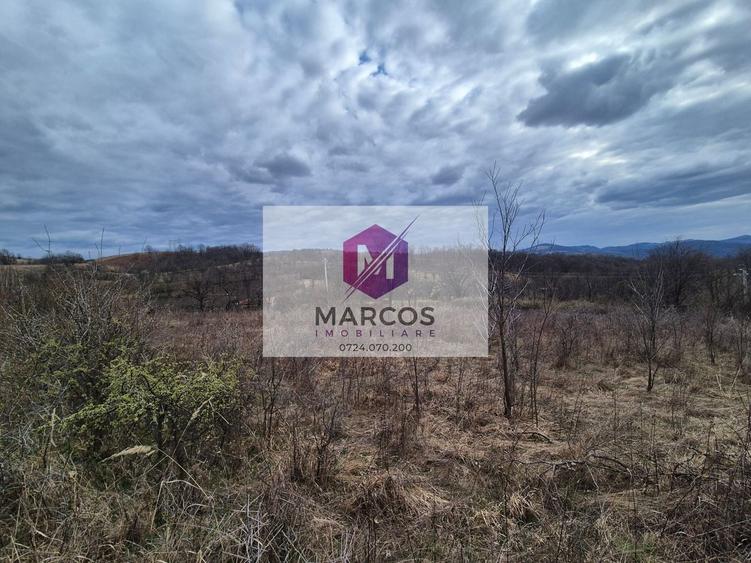 Teren agricol extravilan de 11400 mp, în Iabalcea