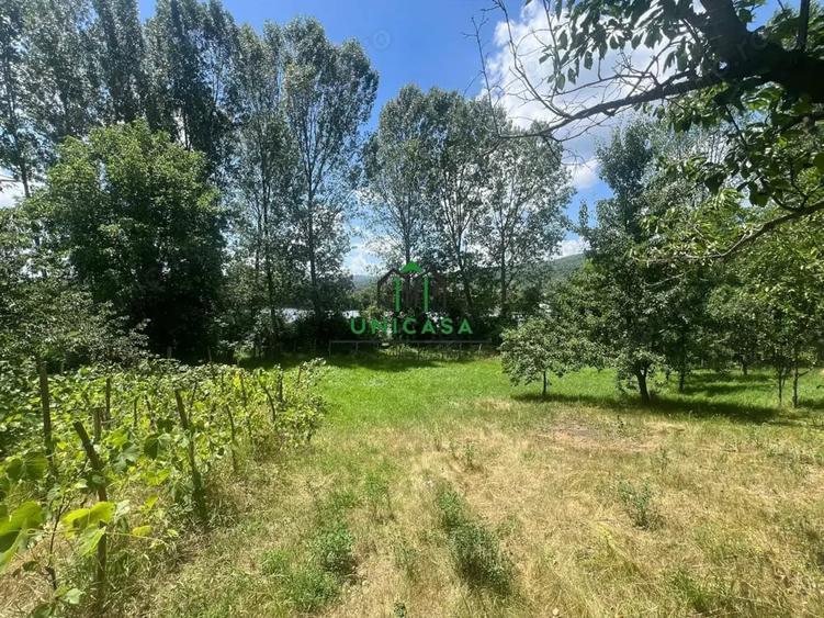 Teren de 3200 mp, în Dăești
