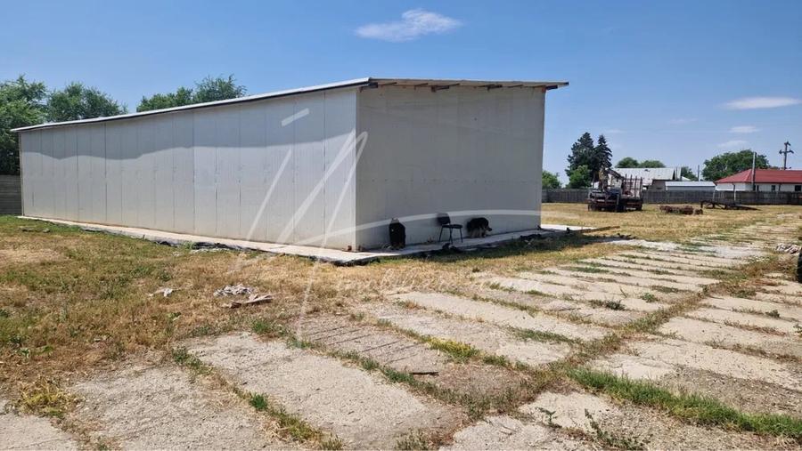 Teren Construcții intravilan de 10275 mp, în Dridu