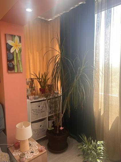 Apartament cu 2 camere decomandat în Între Lacuri