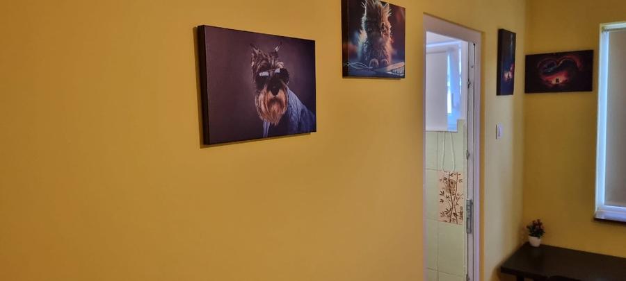 Garsonieră decomandată în Berceni