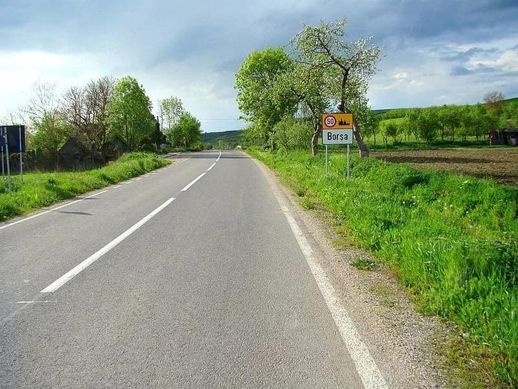 Teren de 5800 mp, în Borșa