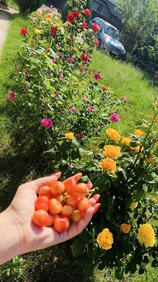 Casă cu 4 camere în Horpaz