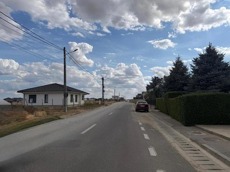 Teren de 10000 mp, în Sântandrei