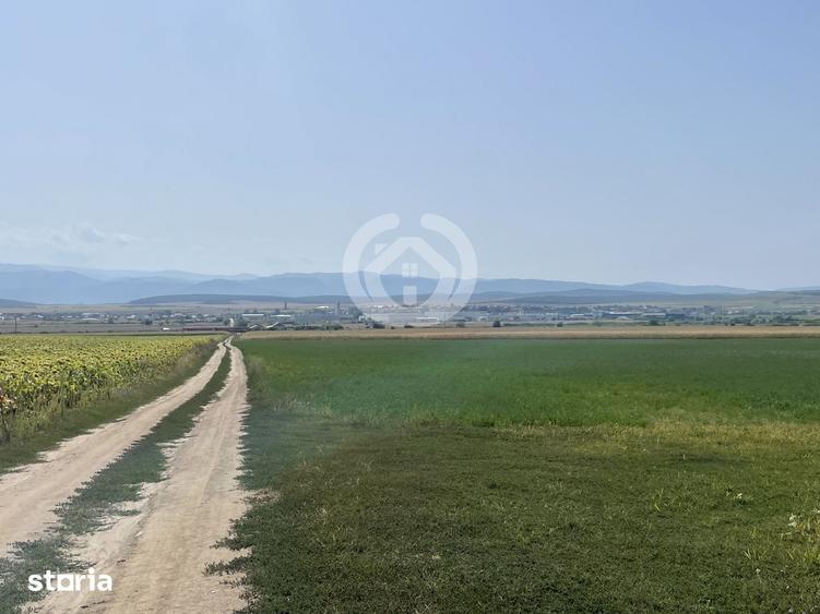 Teren de 20500 mp, în Central