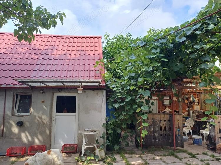 Casă cu 4 camere cu Teren 360 Mp în Ocna Sibiului