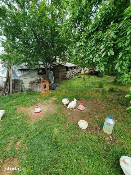 EXCLUSIVITATE! Casa + teren zona Beilic, com. Sageata - 8
