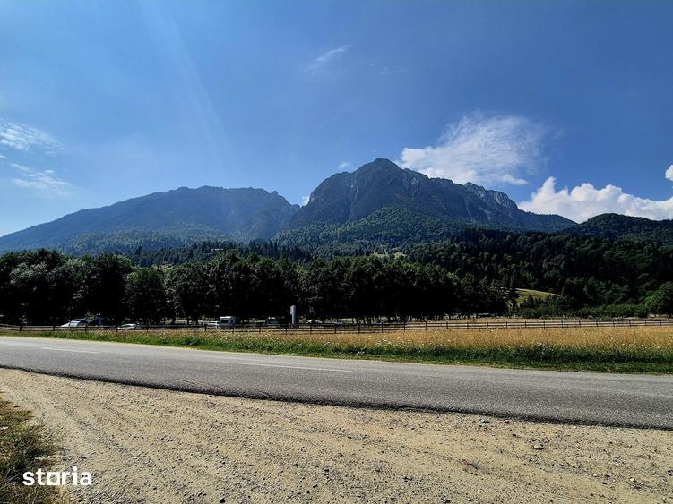 Teren de 5700 mp, în Plaiul Foii
