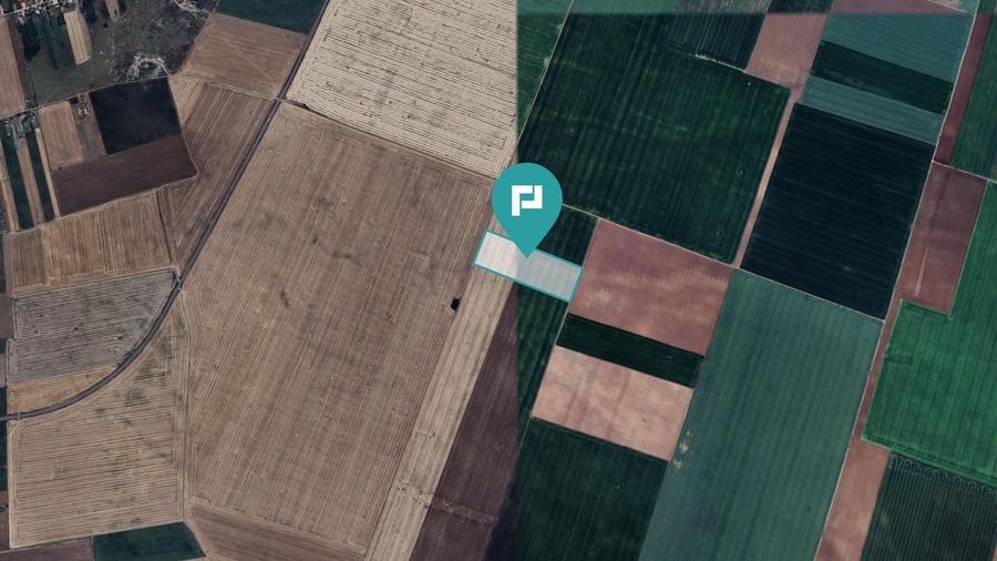 Teren agricol extravilan de 43800 mp, în Șimand