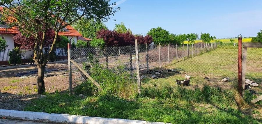 Teren 1000 mp, Oituz (16 min de Constanta) - 3