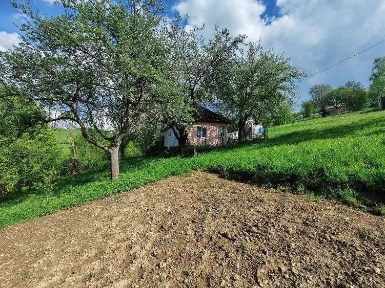 Casa la munte cu teren - 5