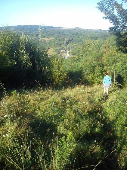Teren agricol extravilan în Vărbilău
