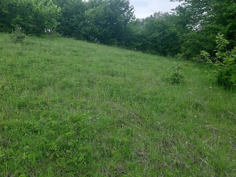 Teren de 2200 mp, în Dăești
