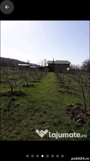 Teren de 1500 mp, în Băiculești