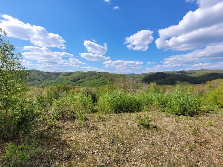 Teren de 70000 mp, în Șerani