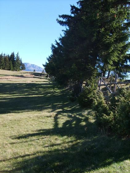 Teren de 717 mp, în Fundata