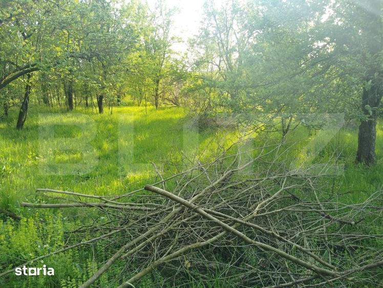 Teren de 3317 mp, în Central