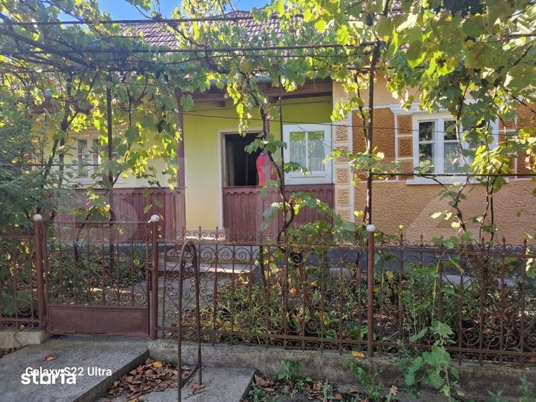 Casă cu 3 camere cu Teren 1000 Mp în Mihai Viteazu
