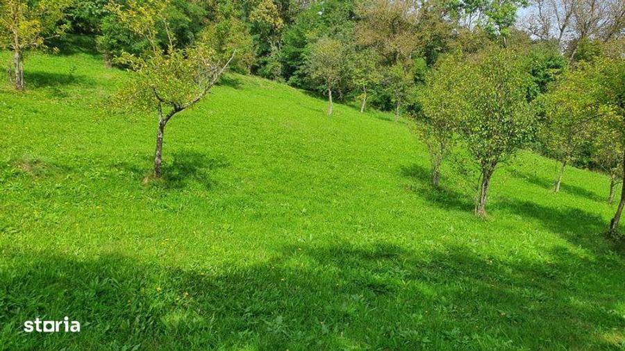 Teren de 2200 mp, în Sălciua