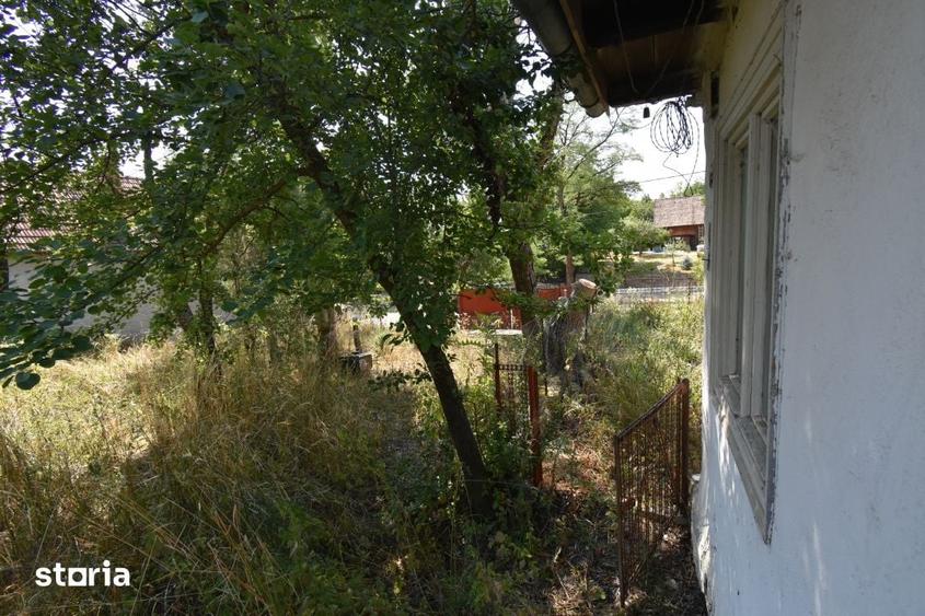 Casă cu 3 camere cu Teren 1500 Mp în Sava