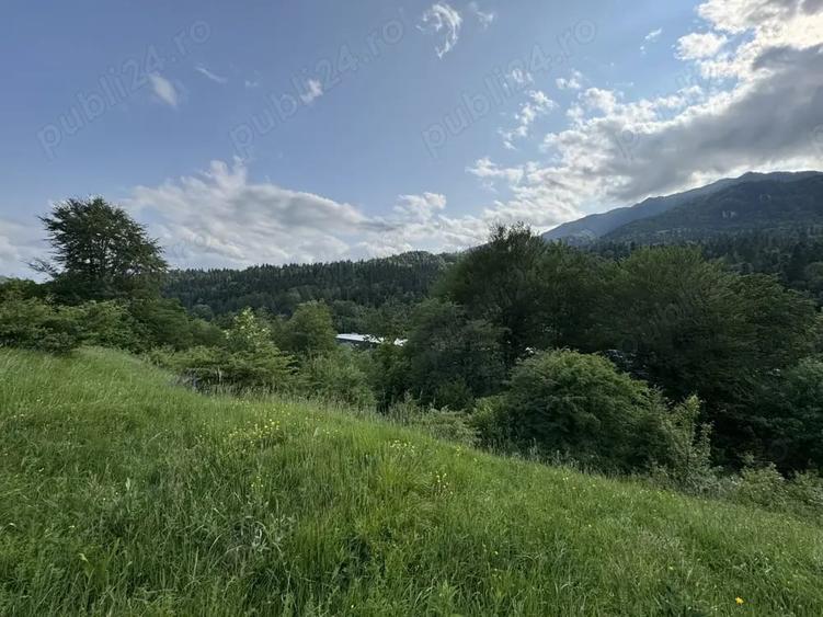 Teren de 5047 mp, în Cumpătu
