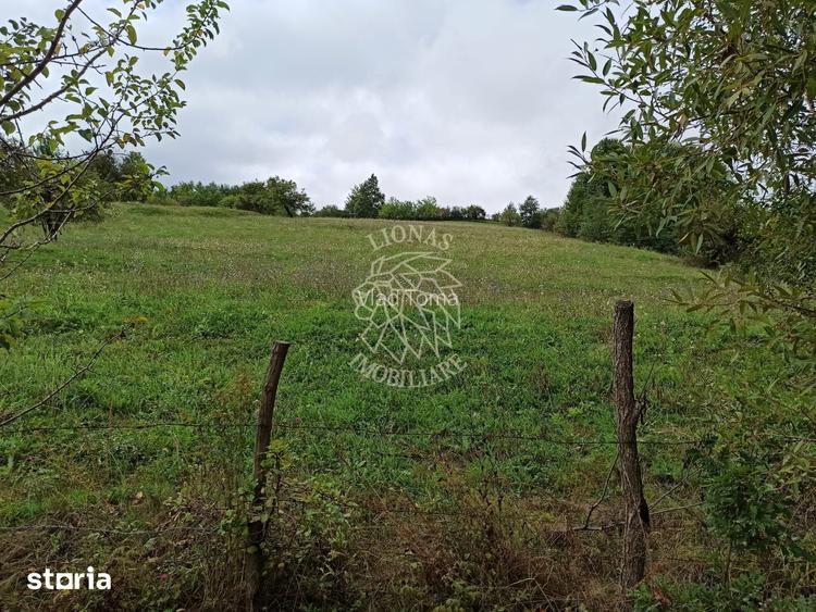 Teren intravilan 12600 mp-utilitati-ideal case, investitie-Livezile