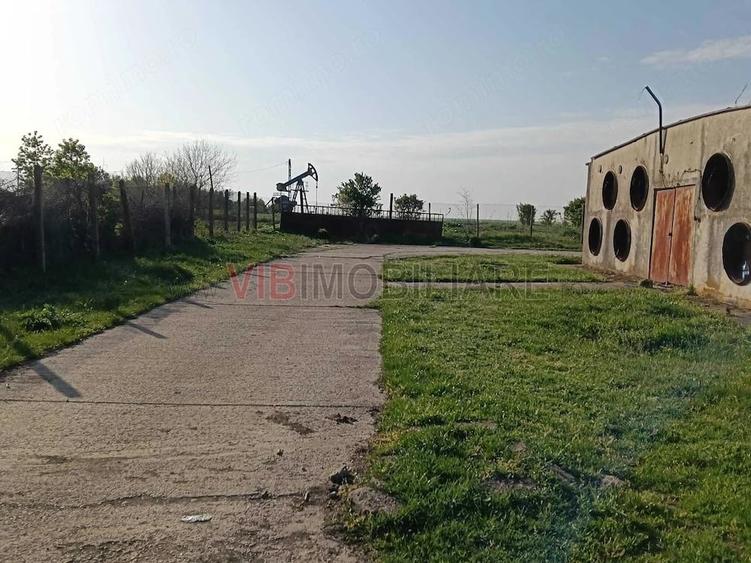 Teren de 25000 mp, în Călacea