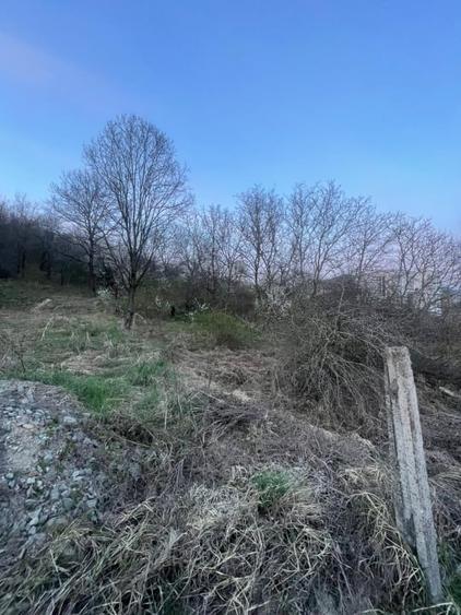 Teren Construcții intravilan de 2200 mp, în Independenței