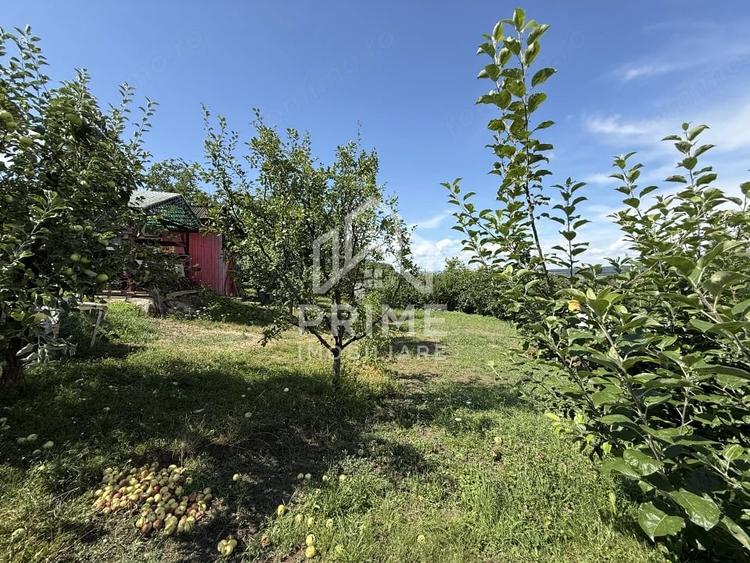 Teren de 852 mp, în Central