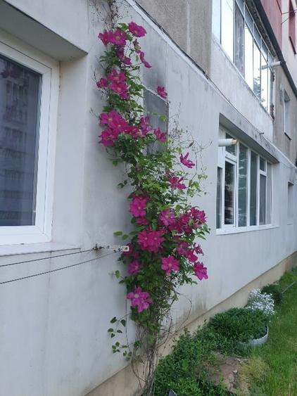 Apartament cu 2 camere semidecomandat în Nord-Est