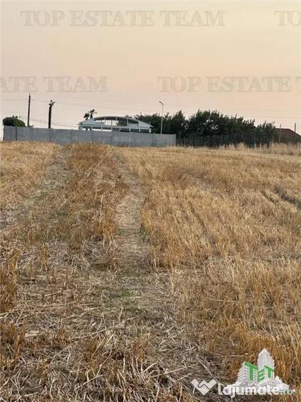 Teren de 2500 mp, în Bălăceanca