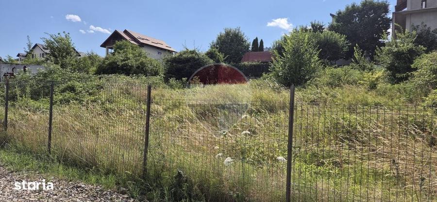 Spațiu comercial, în Valea Albă