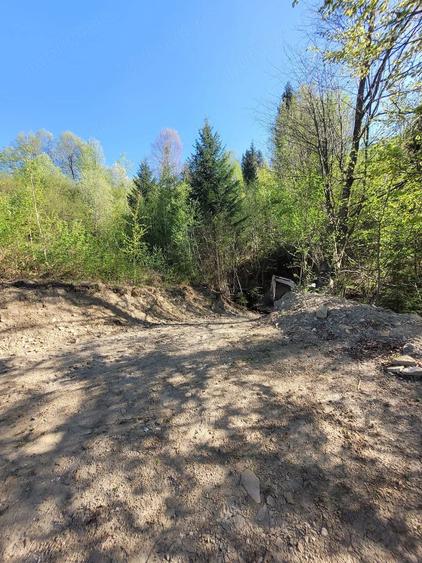 Teren de 5000 mp, în Ceahlău