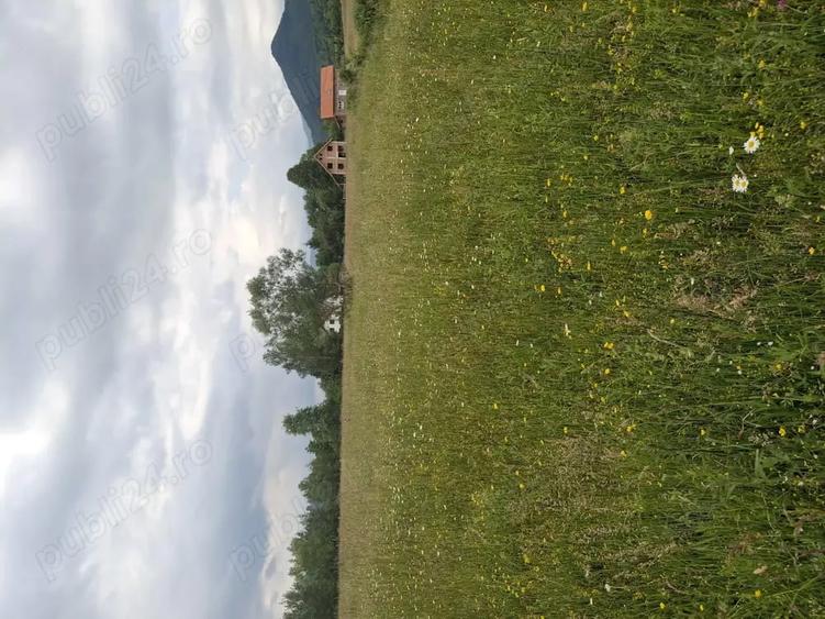 Teren de 1300 mp, în Central