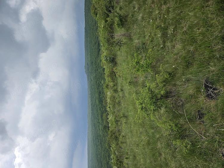 Teren de 2900 mp, în Corușu