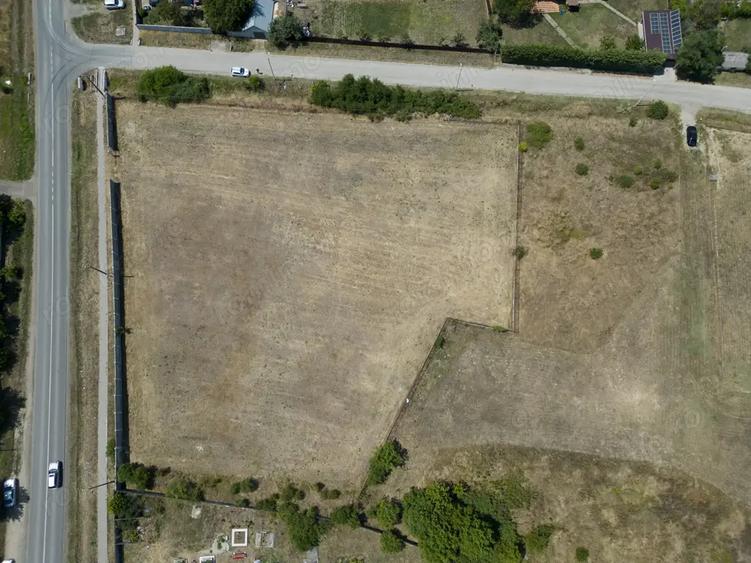 Teren de 6005 mp, în Zădăreni