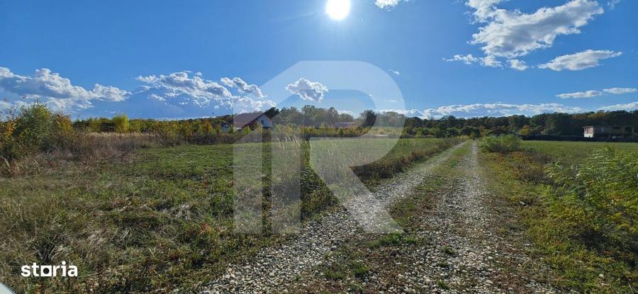Refugiu la marginea padurii 2822 mp de liniste in Cocani. - 5