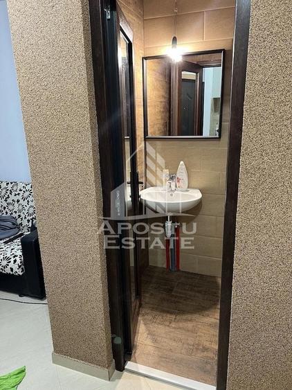Apartament 1 camera de inchiriat, Dambovita, Timis - 5