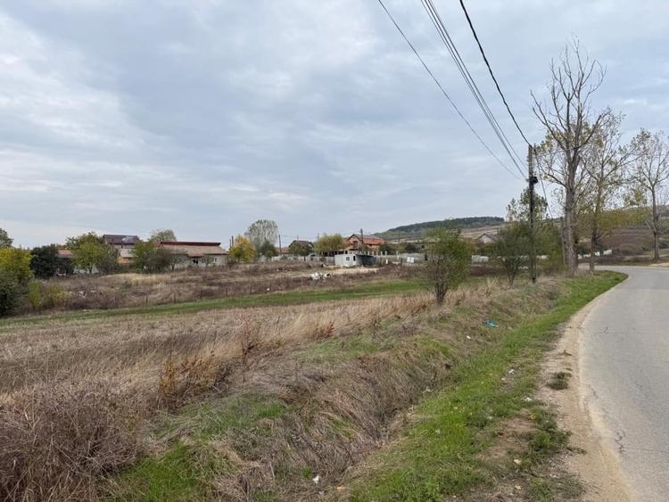Teren agricol extravilan de 8665 mp, în Filiași