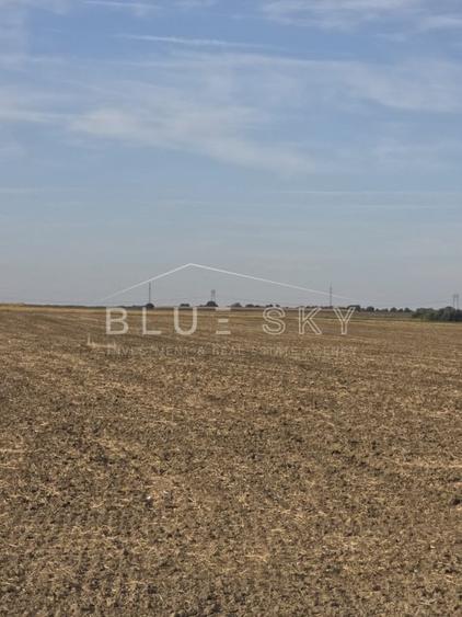 Teren agricol extravilan de 22500 mp, în Ovidiu