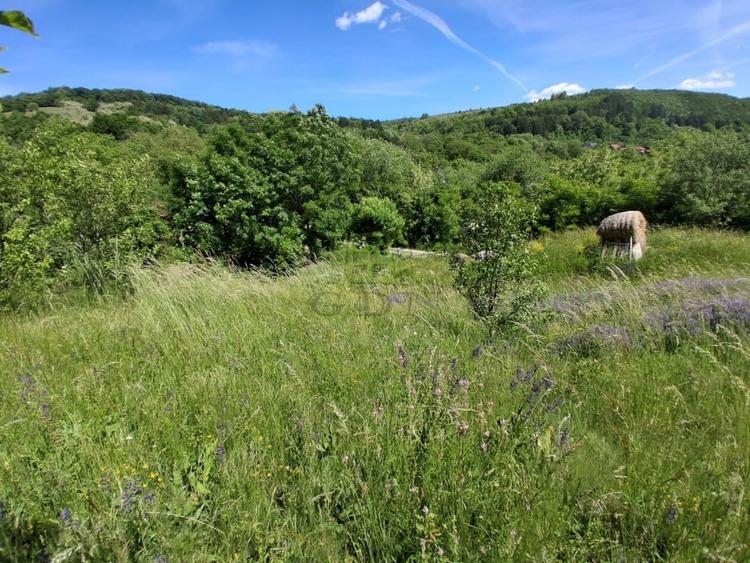 Teren Construcții intravilan de 2700 mp, în Popești
