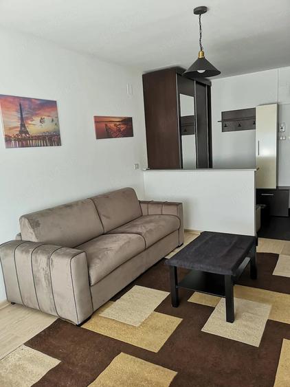Apartament 1camera Via Romana de inchiriat - 4