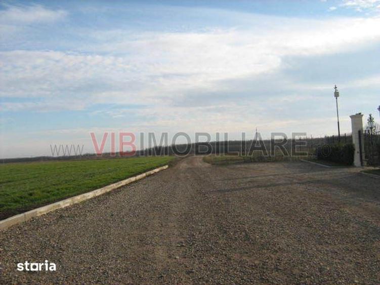 Teren de 61830 mp, în Belciugatele