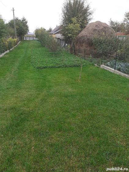 Casă cu 3 camere în Roma