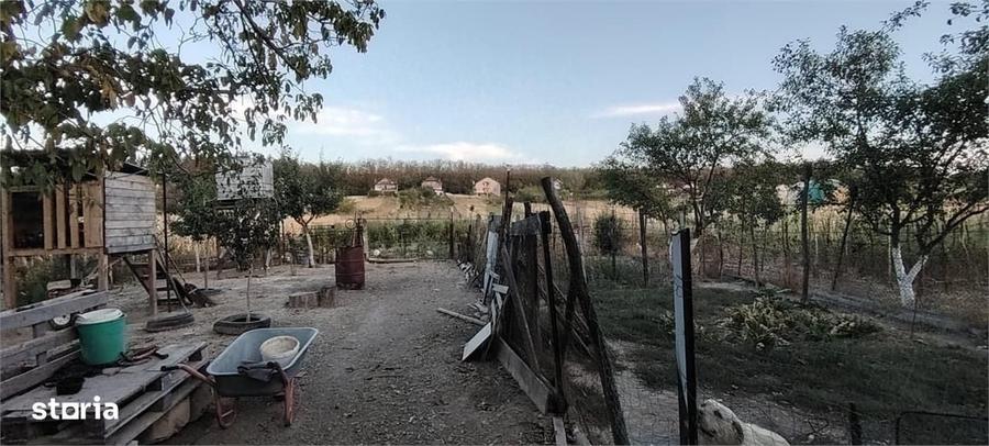 Casă cu 4 camere cu Teren 3000 Mp în Alparea