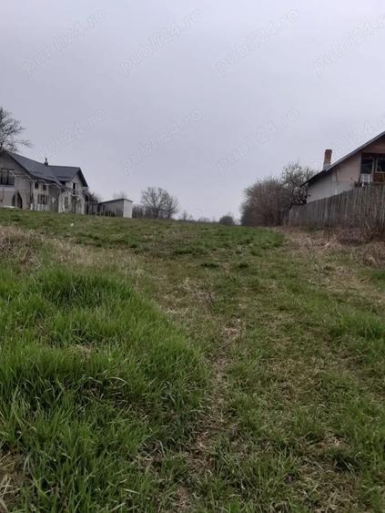 Teren în Dărmănești