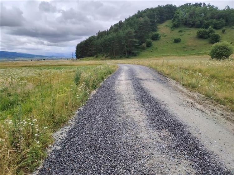 Teren Construcții extravilan de 6600 mp, în Valea Strâmbă