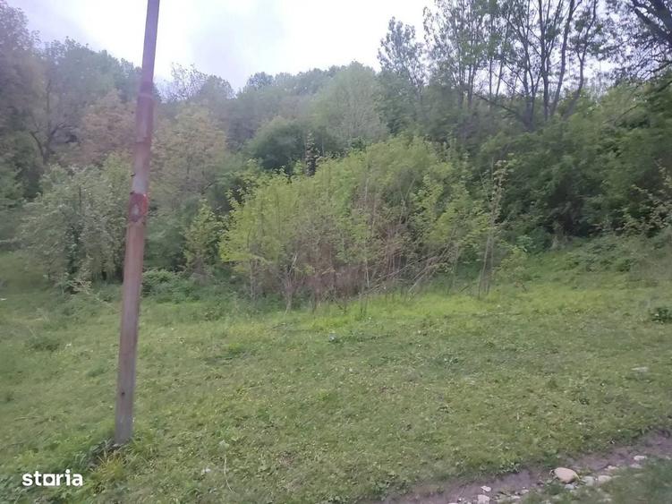 Teren intravilan | Provita de Sus | Breaza | PRAHOVA - 5