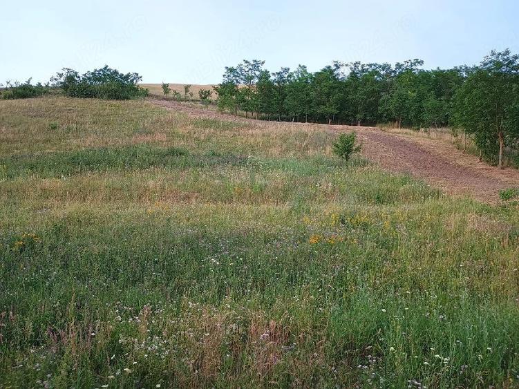 Teren de 4000 mp, în Florești